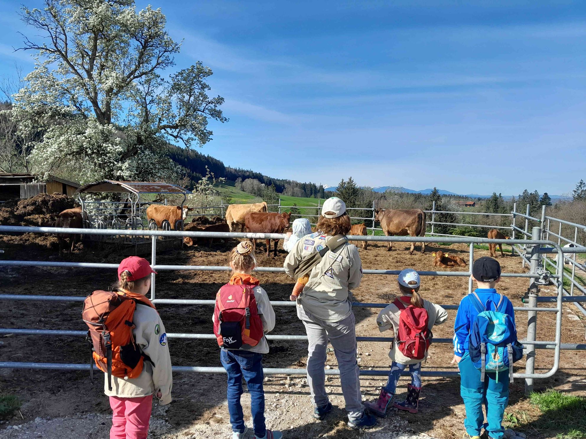 Wölflinge entdecken einen Bauernhof