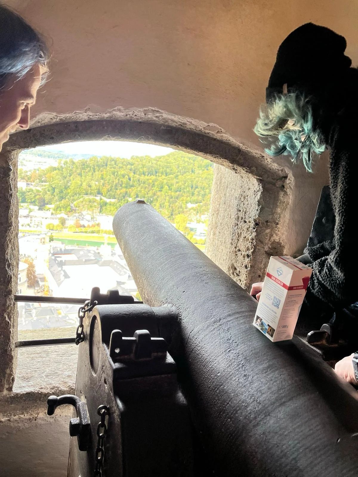 Verteidigung der Burg